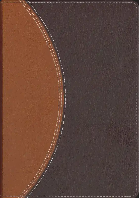 NIV Study Bible compact tan/burgundy leathersoft. New International Ve — Christian Superstore New Zealand Premium