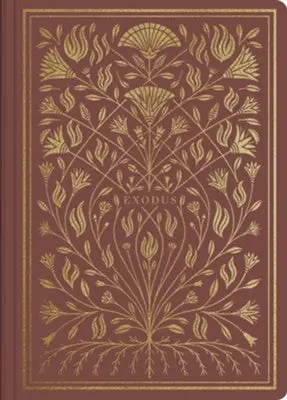 ESV Illuminated Scripture Journal Exodus — Christian Superstore New Zealand Limited Time