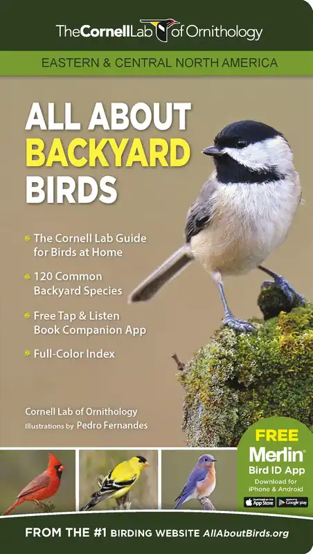 All About Backyard Birds- Eastern & Central North America Certified